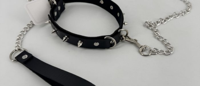 Wildlife Photography Slideshow